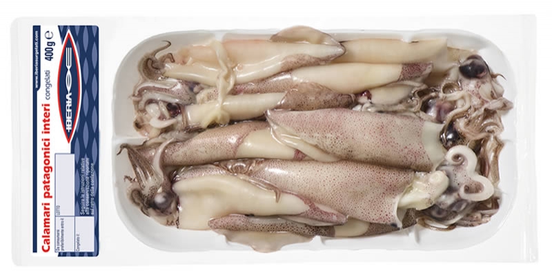 Calamari Patagonici interi